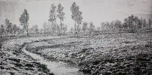 Reinder Homan - Ets: Landschap met een sloot - 1989 vendu pour 115€ !