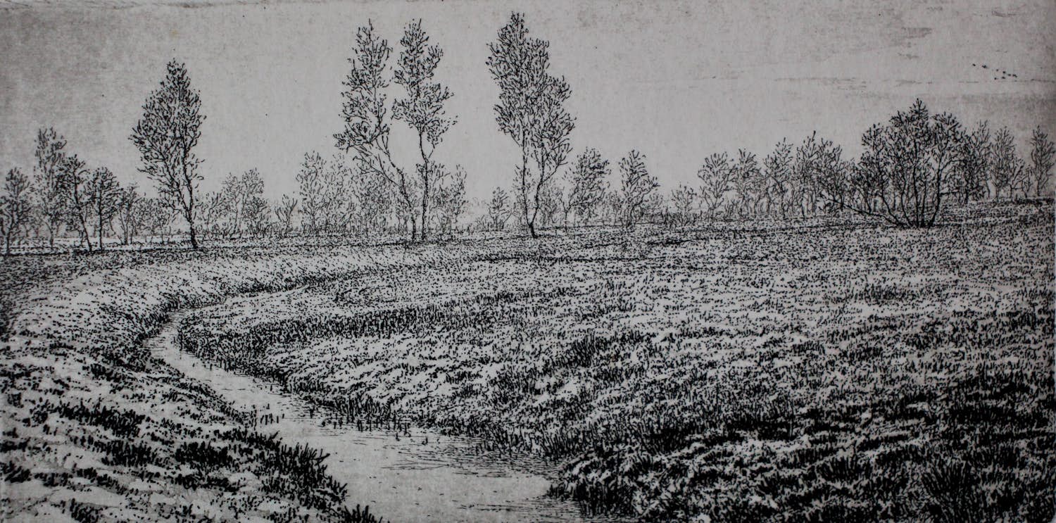 Reinder Homan - Ets: Landschap met een sloot - 1989 verkocht voor € 115!