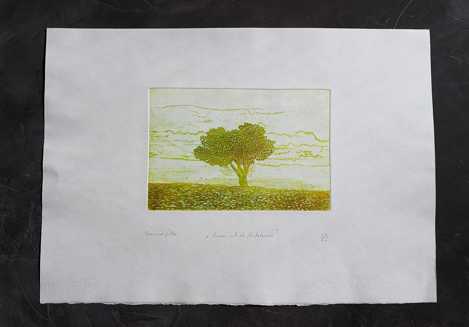 Eduard Flor - Fraaie handgekleurde diepdruk/reliëf Ets - kleine oplage (60) - potloodgesignrd kopen? Bied vanaf 47!