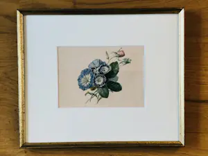 Onbekend - Twee stillevens kopen? Bied vanaf 40!