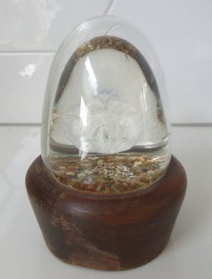 Niet of onleesbaar gesigneerd - Zoologisch object op sterk water als presse papier - Rodelco Gems - Vinkeveen kopen? Bied vanaf 1!