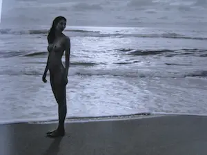 Jock Sturges - Gesigneerd - The Rollei Project - 2012 kopen? Bied vanaf 70!