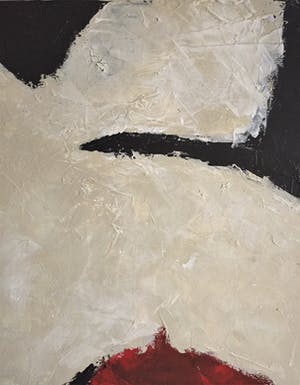 John Foppen - Birds Over Snowland.........# K 04. XL kopen? Bied vanaf 155!