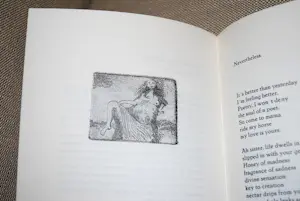 Gijs Stuyling - 7x grafiek oplage 240/300 in de gedichtenbundel van Hans Plomp kopen? Bied vanaf 50!