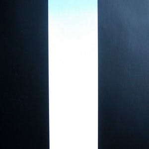 Kumi Sugai - Zeefdruk: Archiv II kopen? Bied vanaf 110!