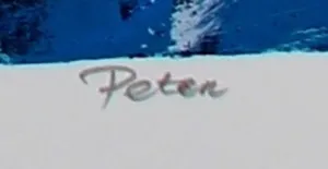 Peter Zonneveld - zeefdruk: Haan - 2002 kopen? Bied vanaf 45!