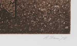 Arthur Stam - Ets en aquatint, Hoe warm en hoe ver I kopen? Bied vanaf 1!