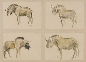 Rudolf Ernst Penning - Aquarel, Uit de dierentuin - Ingelijst kopen? Bied vanaf 35!