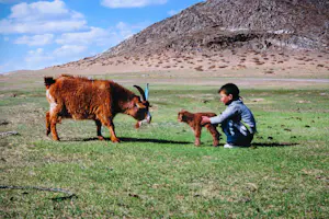 Koen Blanckaert - Fotografie op papier, Mongolia 13 - Ingelijst kopen? Bied vanaf 60!