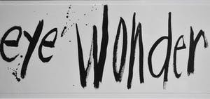 Hans Vanhorck - Walter Brems- Anouk, Rode kruis - Ingelijst - Groot kopen? Bied vanaf 50!