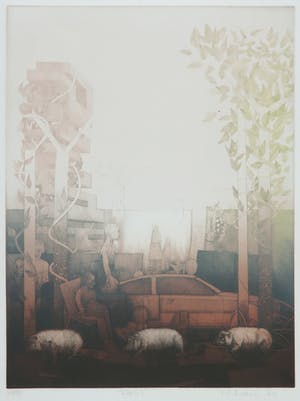 Martin Ware - Kleurenets, Fou 2 kopen? Bied vanaf 1!