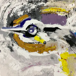 Nico Molenkamp - Vogel kopen? Bied vanaf 38!