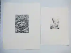 Bertil Schmull - De Zetel van het Kwaad & Het Woord - 2 Gravures verkocht voor € 51!