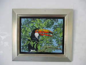 Ari Stolk - REUZENTOEKAN - Ramphastos Toco kopen? Bied vanaf 339!