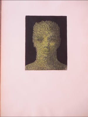 Jean Paul Vroom - Bladerhoofd kopen? Bied vanaf 60!