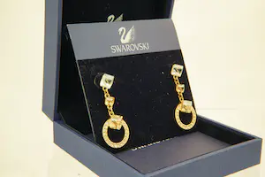 NV80- Chique & lange ONEDELE  Swarovski "Creativity Collection" oorsieraden kopen? Bied vanaf 45!