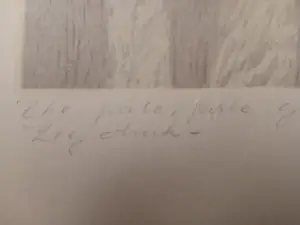 Jan Scheir - The frail, frail grass of home. kopen? Bied vanaf 300!