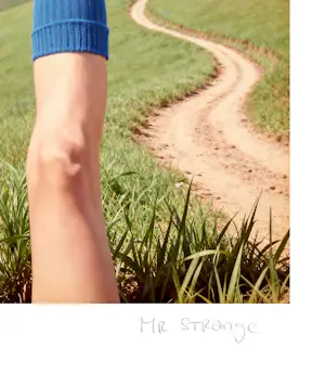 Mr Strange - De was kopen? Bied vanaf 80!