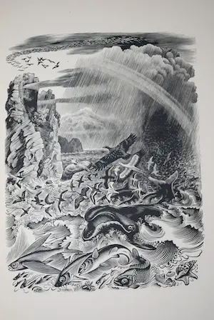 Dirk van Gelder - De Scheppingsdagen, met 16 houtgravures - extra: catalogus in kleur, 1987 kopen? Bied vanaf 65!