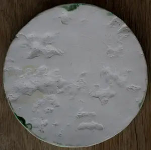 Inka Klinckhard - Keramische penning: Ik geloof in een betere wereld en daarom lach ik kopen? Bied vanaf 55!