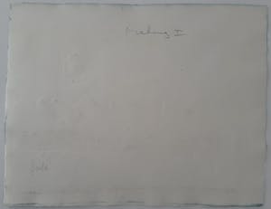 Jan Montyn - Mekong I kopen? Bied vanaf 95!