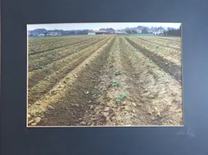 Paul Huf - AKKER / C-PRINT / 60x80cm / SIG / 1985 / PASSE-PARTOUT kopen? Bied vanaf 45!