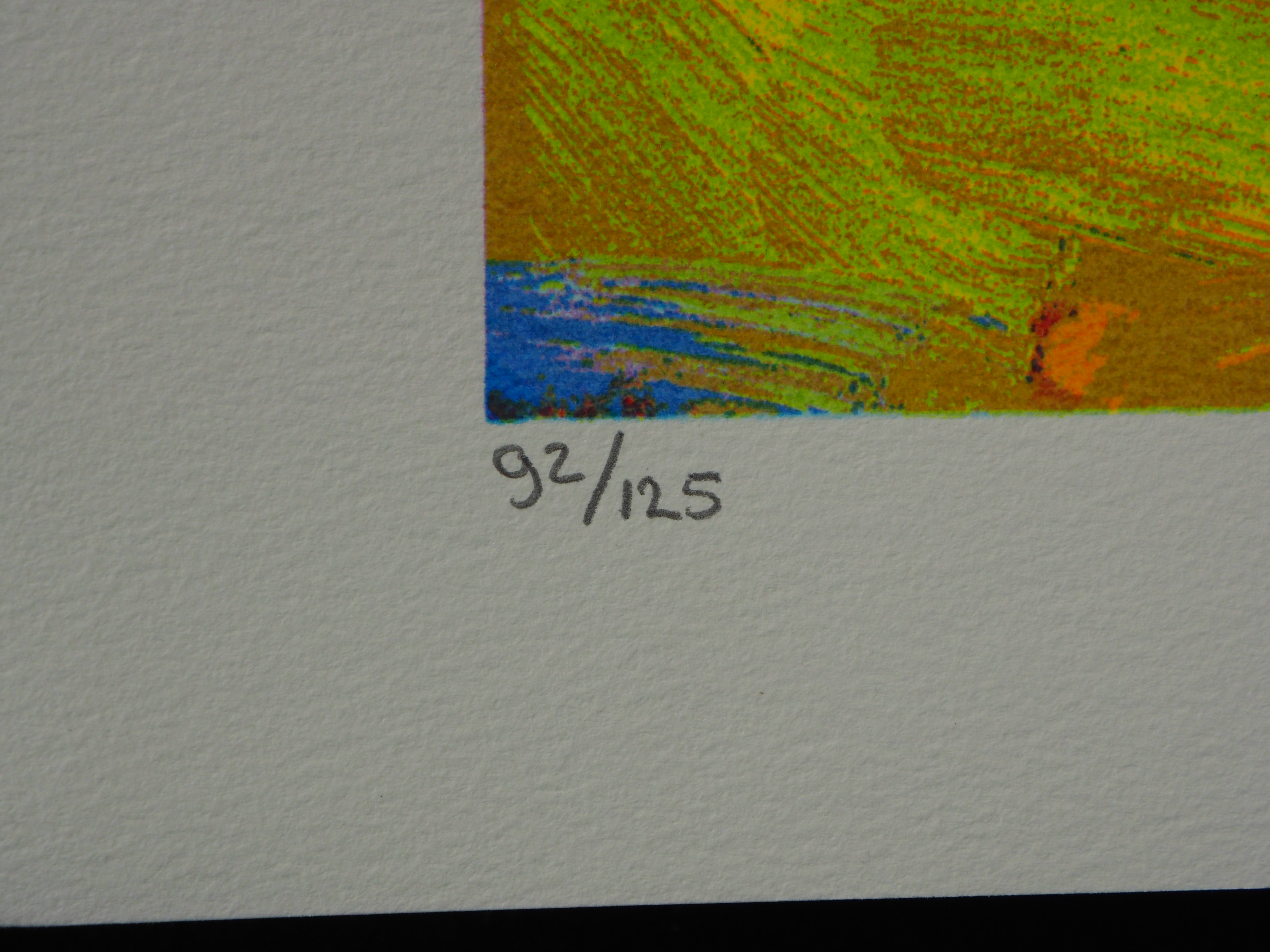 Jentsje Popma - Zomer kopen? Bied vanaf 60!