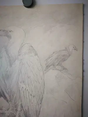 Eugene Rensburg - Lammergier. kopen? Bied vanaf 59!