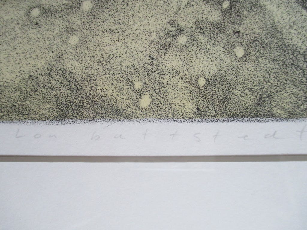 Lon Buttstedt -  litho 'Nine directions, palm leaf, road' in Barth lijst kopen? Bied vanaf 50!