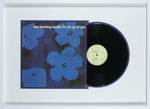 Andy Warhol - The Darling Buds – It's All Up To You - Ingelijst kopen? Bied vanaf 1!