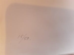 Woody van Amen - Cavellini 1914-2014,Campo di tutti capi kopen? Bied vanaf 10!