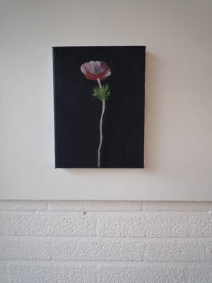 Irene van den Bos - Anemoon kopen? Bied vanaf 70!