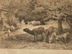 Jules Hereau - Les moutons de Claudine kopen? Bied vanaf 1!