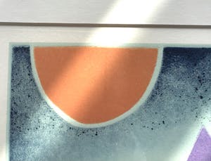 Ries Kleijnen - Ets aquatint, Een huis vol vogels, gesigneerd en ingelijst kopen? Bied vanaf 85!