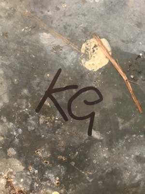 Klaas Gubbels - Klaas Gubbels Inspiratiebron Ketel kopen? Bied vanaf 60!