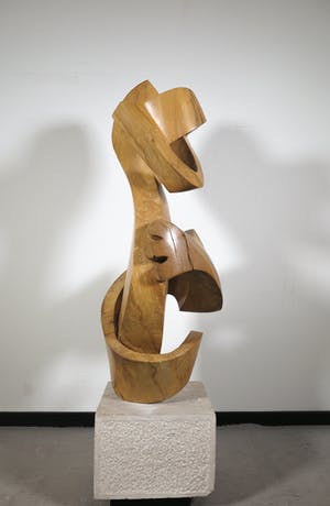 Niet of onleesbaar gesigneerd - Groot organisch gevormd houten sculptuur (Zwaar!) kopen? Bied vanaf 1!