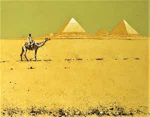 Simon Koene - Kameelruiter in de woestijn verkocht voor € 85!