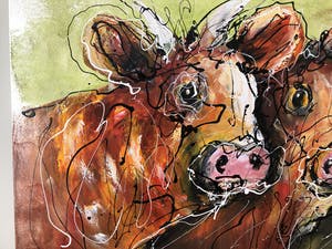 Caspar van Houten - Koeien kopen? Bied vanaf 250!