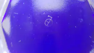 Karel de Bazel - Persglazen tienkantige schaal kopen? Bied vanaf 1!