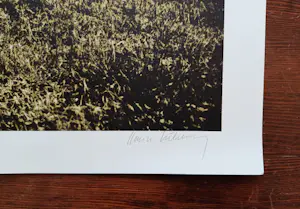 Karin Szekessy - 'Akt im Garten', foto kopen? Bied vanaf 149!