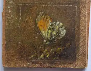 Hans van Wijk - Vlinder .Klein schiderij vendu pour 70€ !