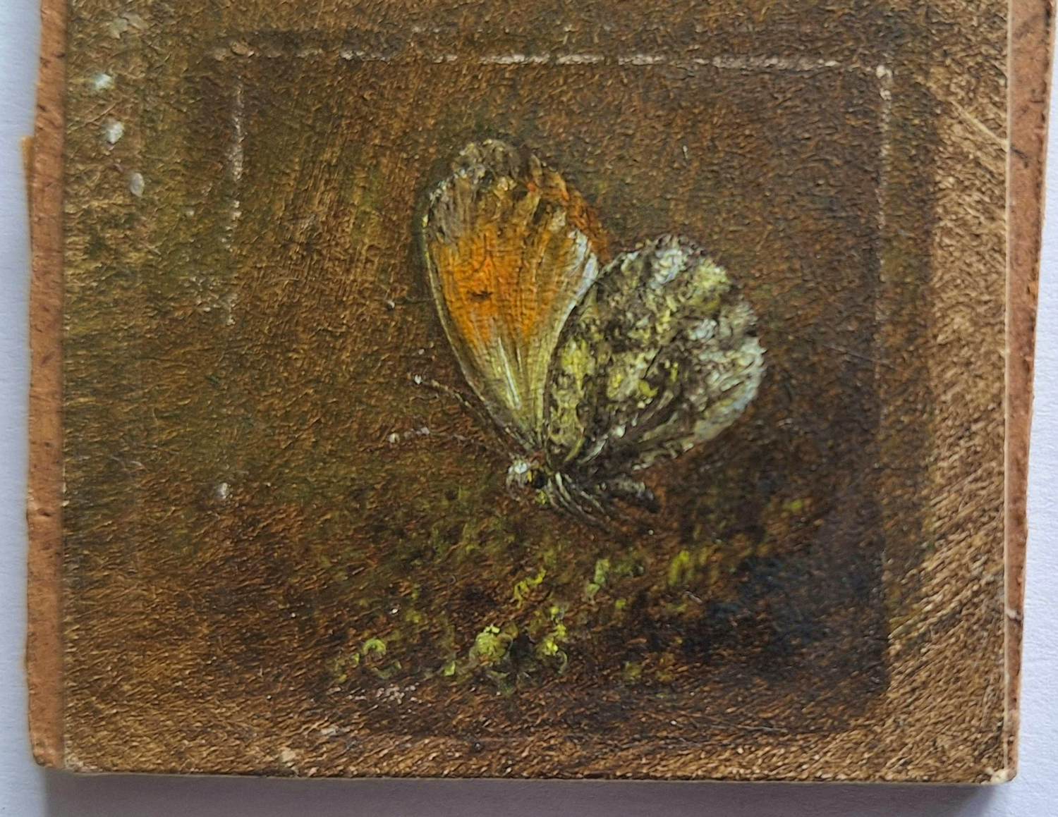 Hans van Wijk - Vlinder .Klein schiderij kopen? Bied vanaf 70!