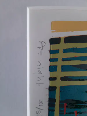 Diana van Hal - Zeefdruk, Titel, At Night kopen? Bied vanaf 40!