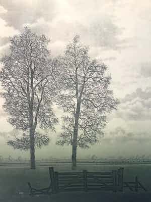 Hans Heijman - Polderlandschap verkocht voor € 1!