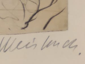 Claude Weisbuch - Steigerend paard kopen? Bied vanaf 75!