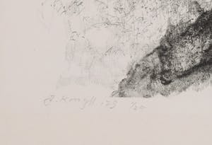 Jaap Kruijff - Litho, Verbrand bos kopen? Bied vanaf 1!