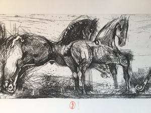 Willem Snitker - Paardenets II kopen? Bied vanaf 45!