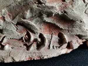 Niet of onleesbaar gesigneerd - Fraai beeld van naakte liggende dame kopen? Bied vanaf 1!