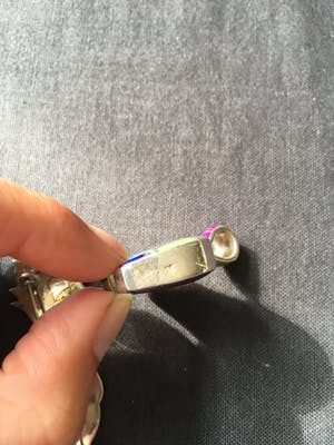 1e gehalte Zilver - Kleurrijke broche in de vorm van een gestileerd dier kopen? Bied vanaf 1!