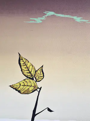 Wally Elenbaas - Mooie kleuren lithografie "onweer" - gelimiteerde oplage (80) - gesigneerd kopen? Bied vanaf 57!